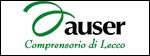 Auser