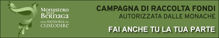 banner bbernagadesktop-87974.jpg