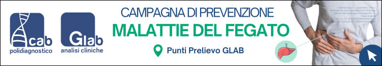 banner bfegatodesktop-13256.jpg