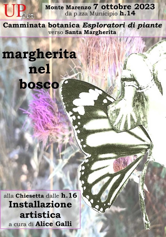 margherita-bosco.jpg (133 KB)