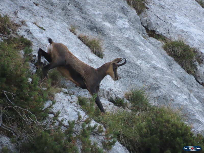 rifugiobiettibuzzi_05.JPG (184 KB)