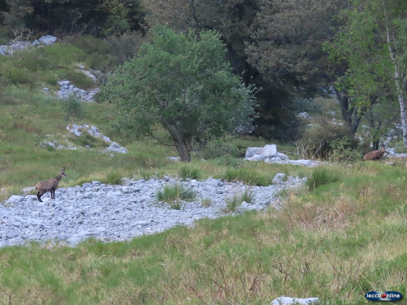 rifugiobiettibuzzi_06.JPG (189 KB)