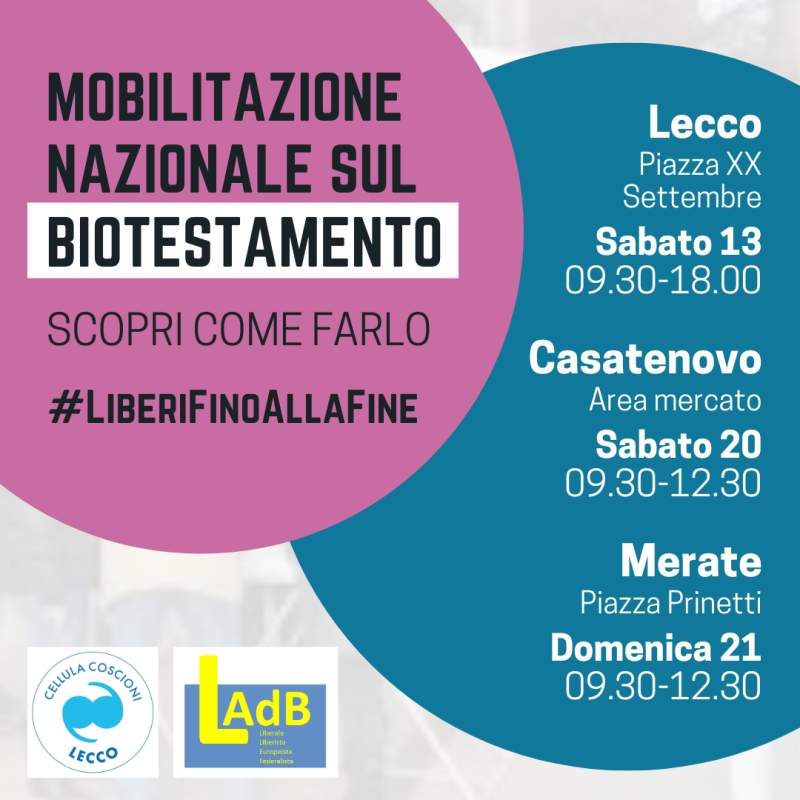 datmobilitazione.png (212 KB)