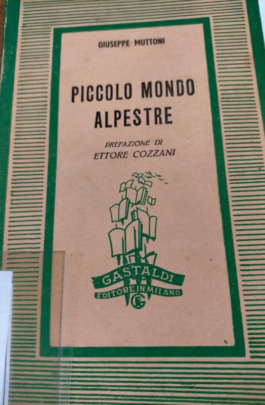 4_copertina_MONDO_ALPESTRE.jpg (104 KB)