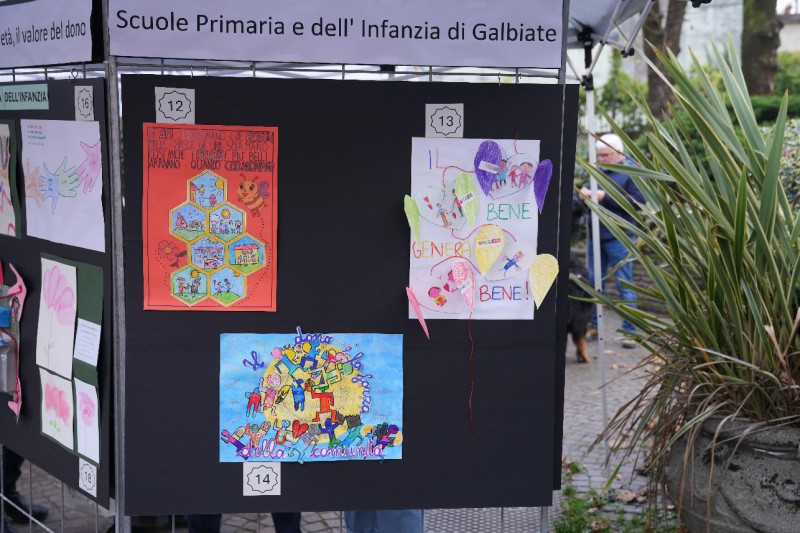 avisgalbiate7.jpg (119 KB)