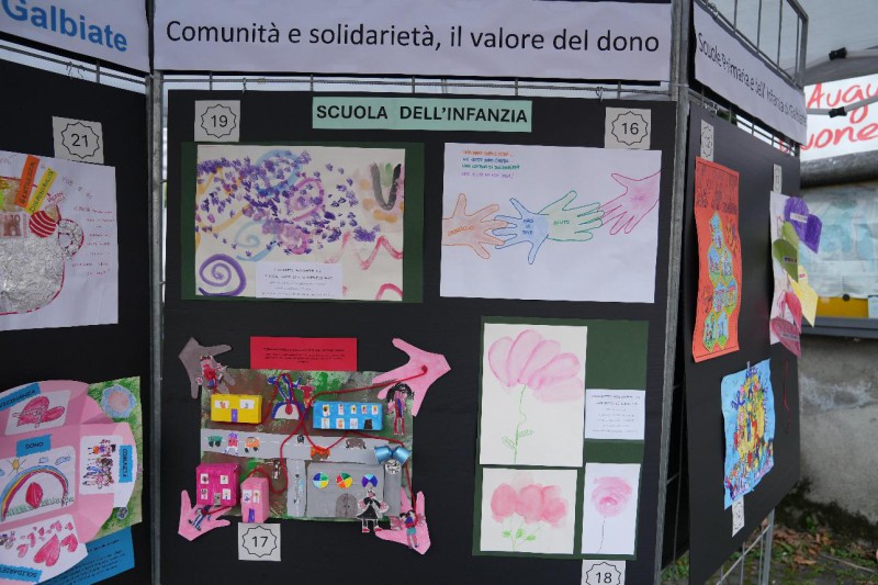 avisgalbiate8.jpg (114 KB)