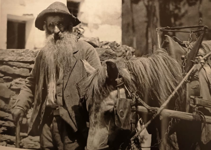 colicocontadina2.jpg (303 KB)