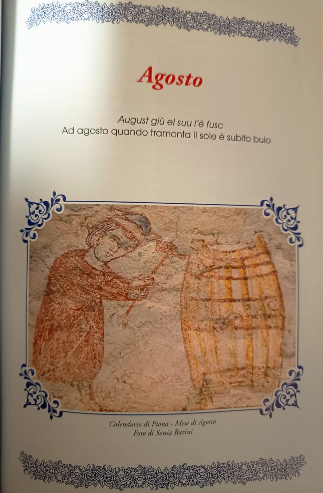 colicocontadina3.jpg (164 KB)