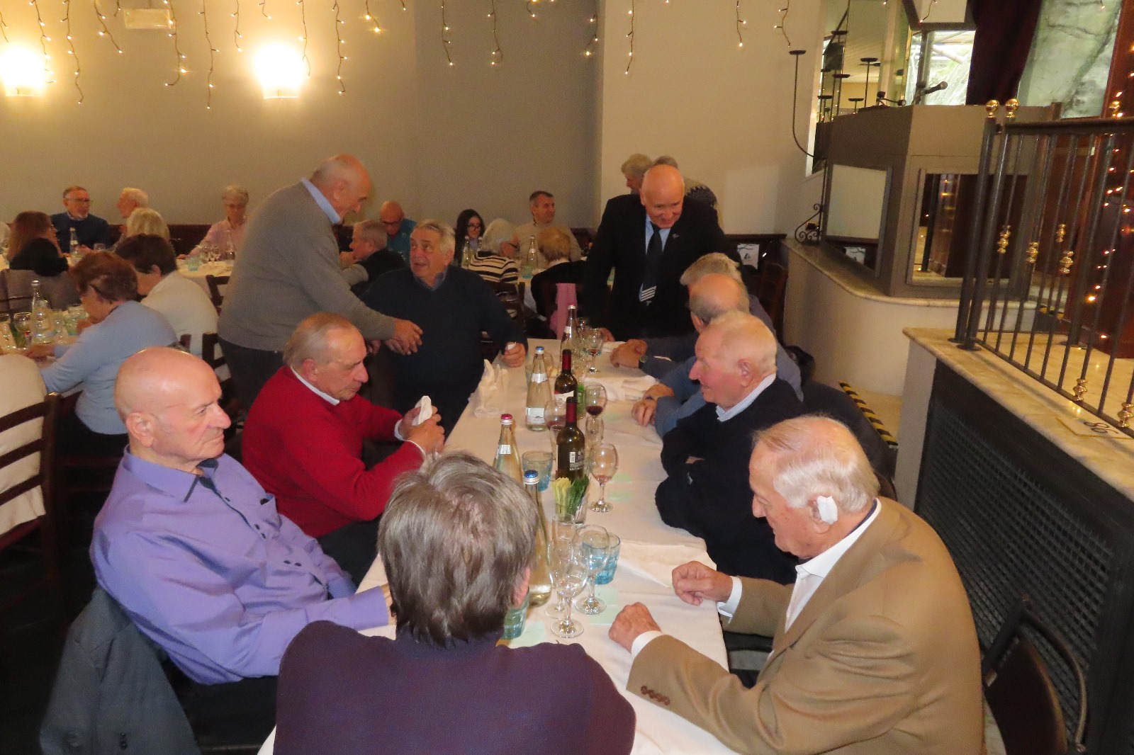 leccosae__3_.jpeg (420 KB)