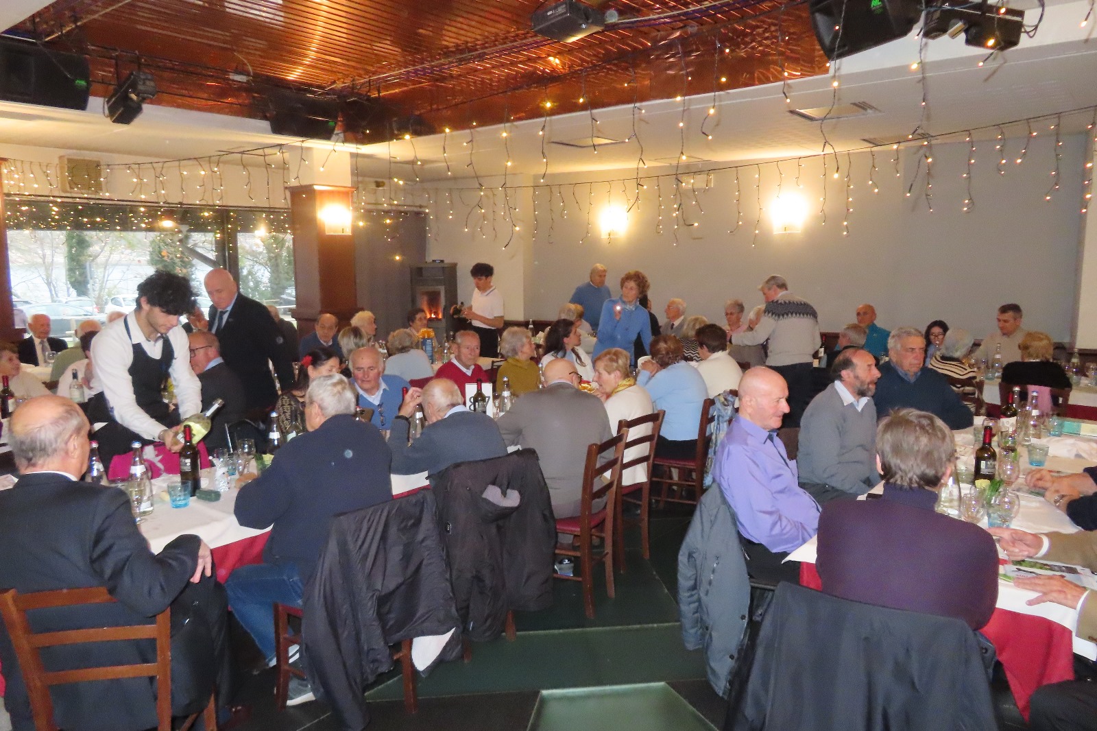 leccosae__4_.jpeg (501 KB)