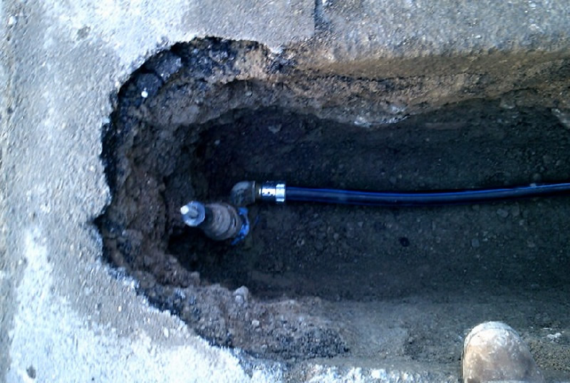 lrhgalbiate1.jpg (153 KB)