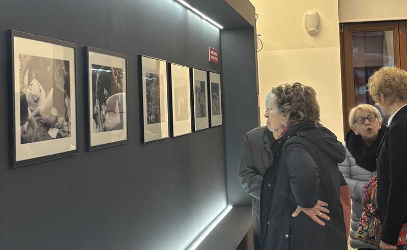 mostrafestival__10_.jpg (66 KB)