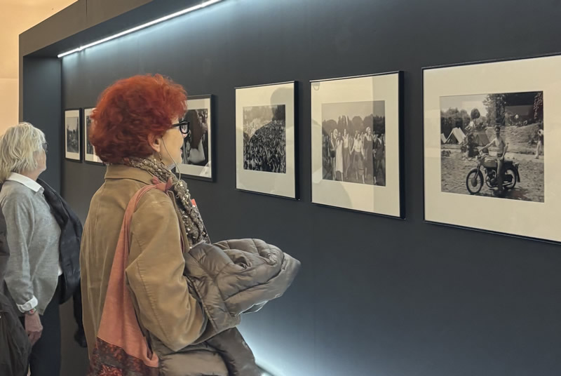 mostrafestival__9_.jpg (74 KB)