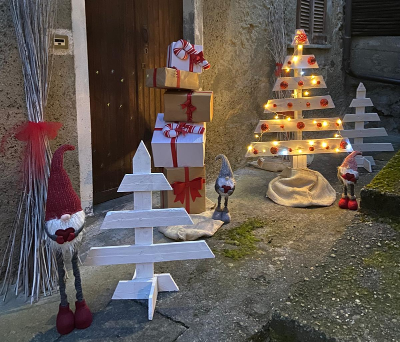 valvarronemercatini__1_.jpg (410 KB)