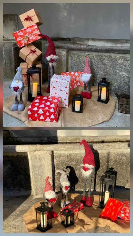 valvarronemercatini__3_.jpg (111 KB)