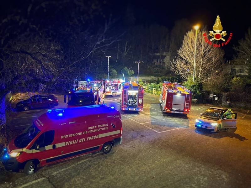 vvflecco__3_.jpeg (137 KB)