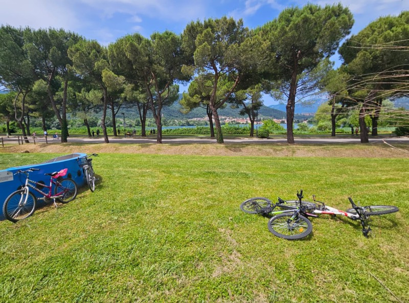 Calolzio_Caduta_Bici3.jpeg (191 KB)