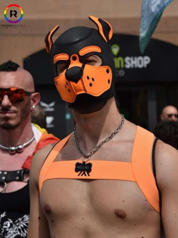 PrideIntervento5.png (523 KB)