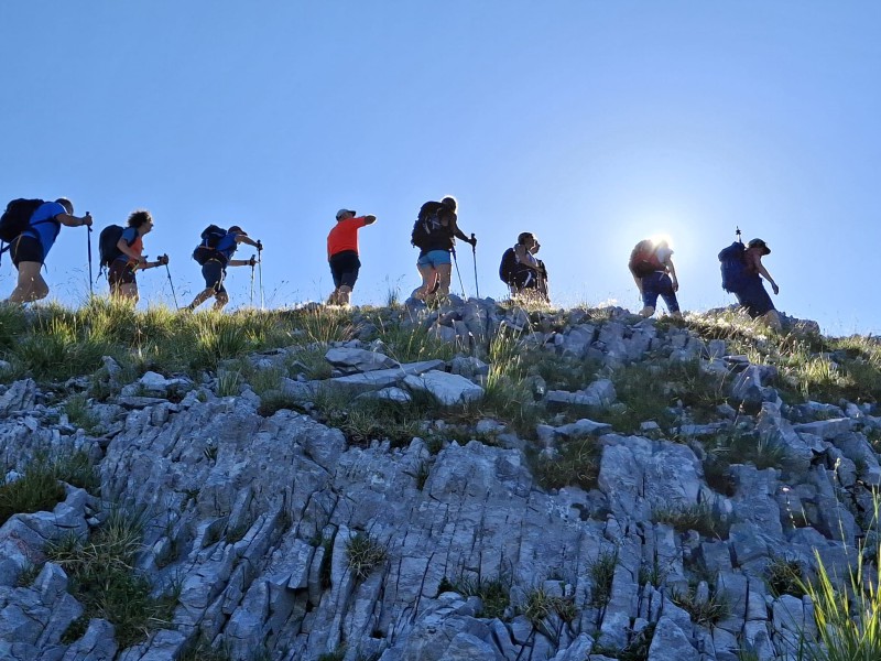 10-verso_la_cima.jpeg (131 KB)