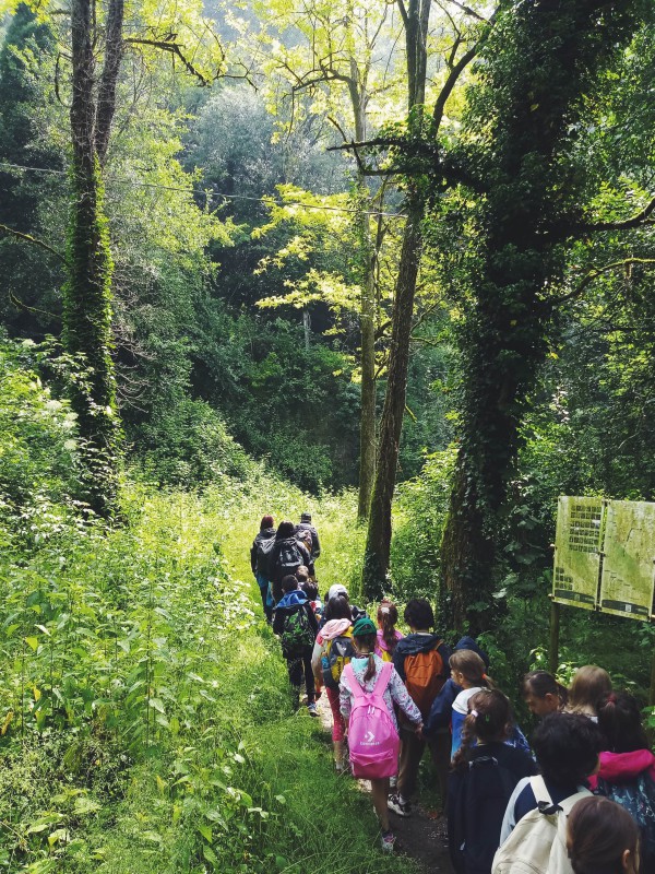 Adda_passeggiata_nel_Bosco.JPG (235 KB)