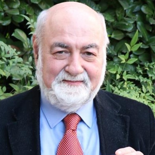 VITTORIO_ALESSANDRO_SIRONI.jpg (94 KB)
