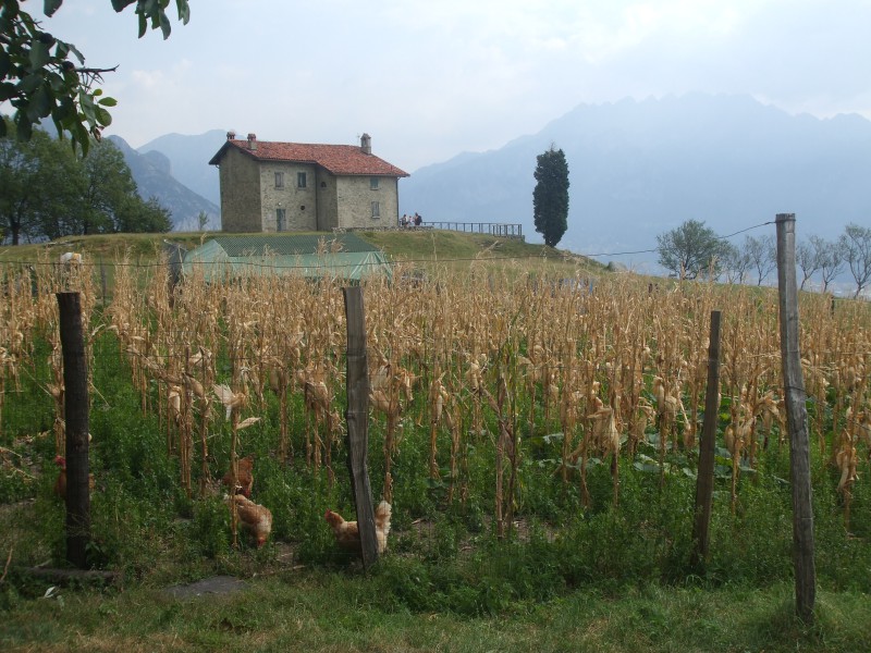 allegato_4_nucleo_rurale_di_San_Tomaso.jpg (142 KB)