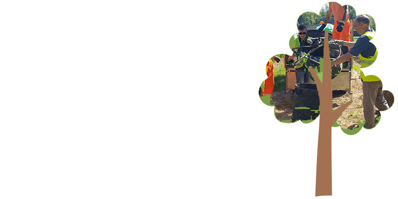 7-18.05.png (119 KB)