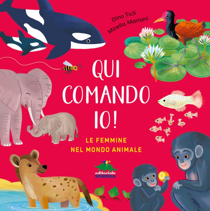 Qui_comando_io_1.jpg (129 KB)