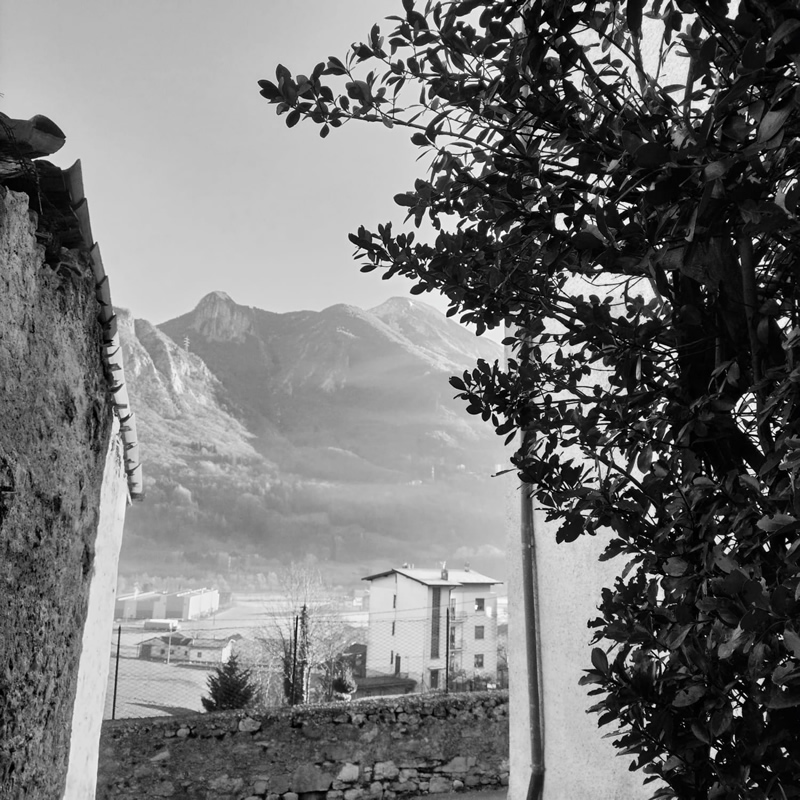 pasturogabanizza__7_.jpg (247 KB)
