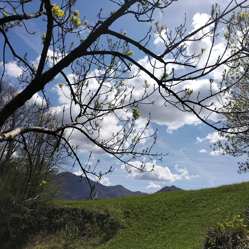 pasturogabanizza__8_.jpg (570 KB)