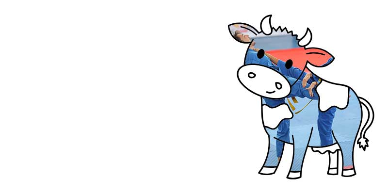 6_09.11.25.jpg (19 KB)