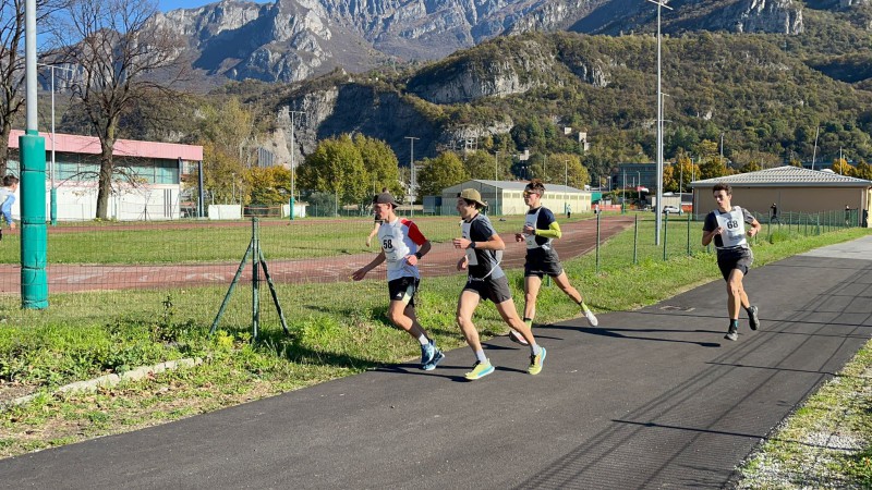 BADONISPORT__4_.jpeg (156 KB)