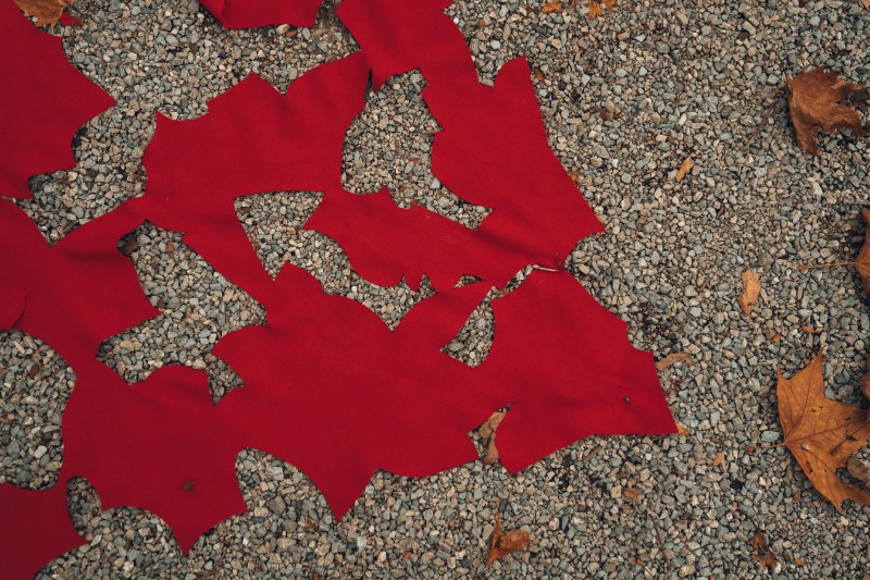 ComunediLecco_Piazzaera-32.jpg (159 KB)