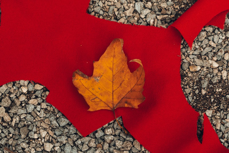 ComunediLecco_Piazzaera43.jpg (138 KB)