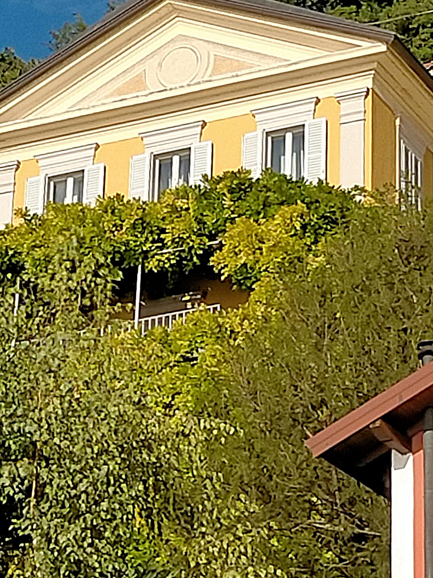 IMG20250910180023.jpg (766 KB)