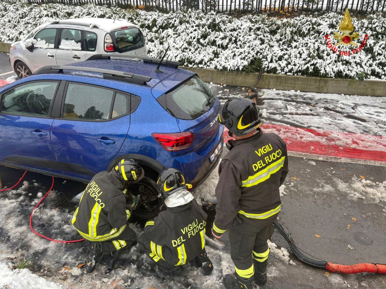 RobbiatePiantaAuto3.jpg (325 KB)