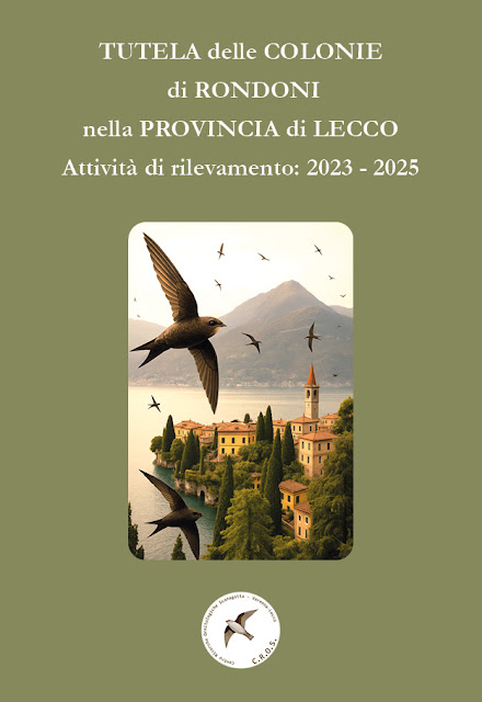 Rondoni_ricerca.jpg (56 KB)