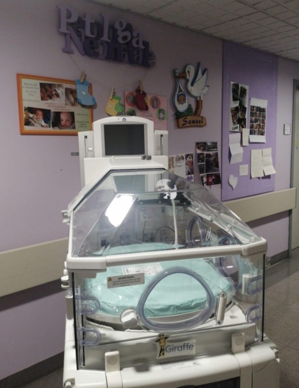 TIN__7_.jpg (156 KB)