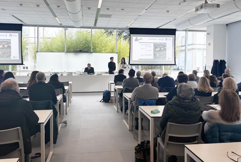 active__6_.jpg (107 KB)