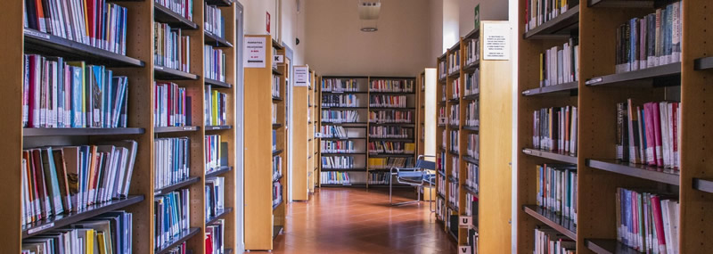 biblioteca.jpg (84 KB)