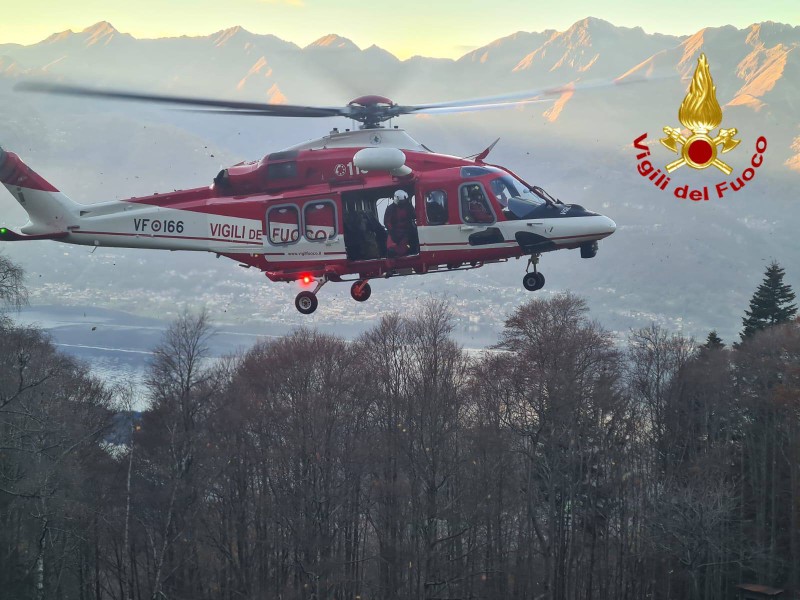 colicocacciatore__1_.jpeg (114 KB)