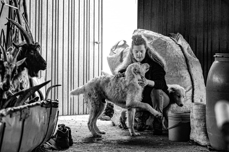 contest_foto__3_.jpg (130 KB)