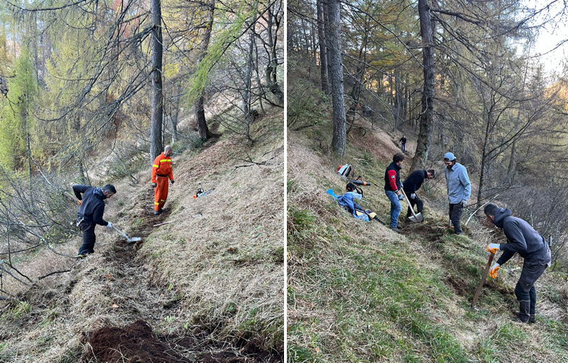 faggio__3_.jpg (494 KB)