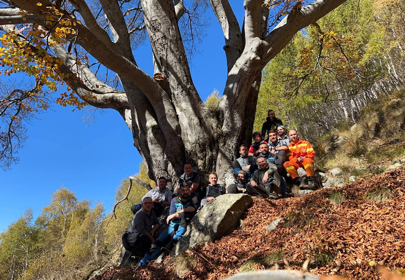 faggio__4_.jpg (498 KB)