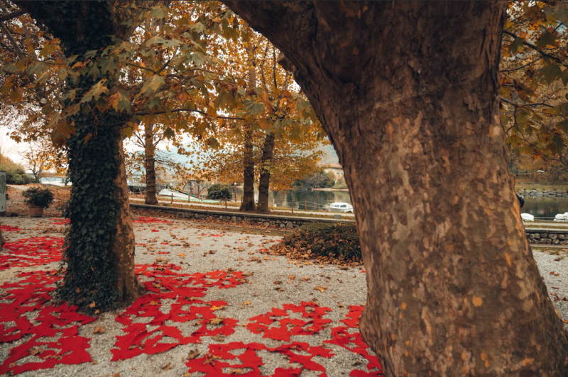 lungolagoattesa.png (934 KB)