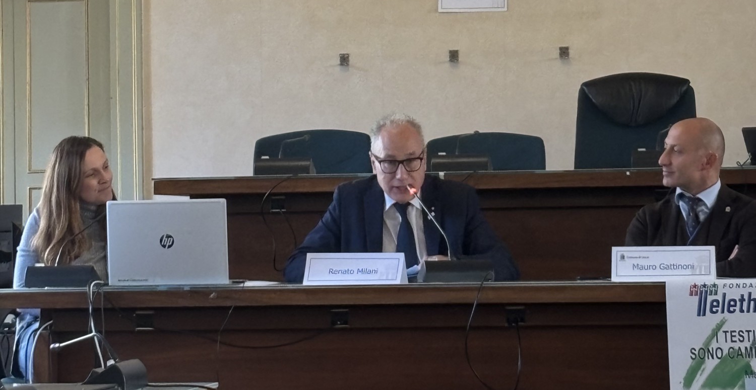 maratonatelethon__9_.jpeg (414 KB)