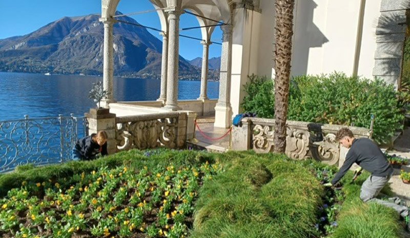 minoprio__3_.jpg (134 KB)