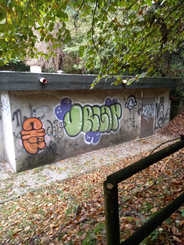 muralesgalbiate__3_.jpeg (182 KB)