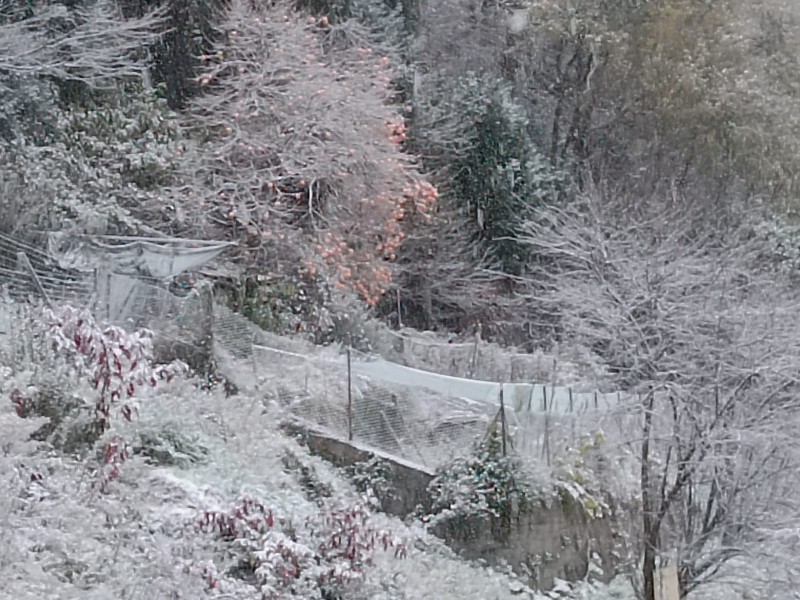 neve21novembre4.jpg (149 KB)