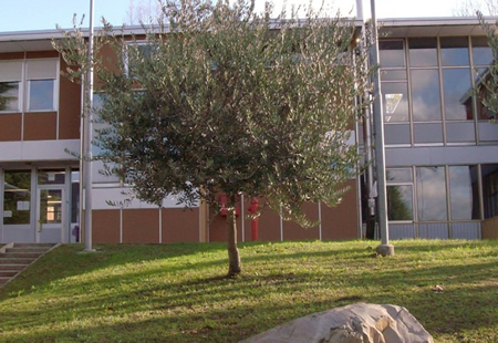 scuolasalaprr.jpg (130 KB)